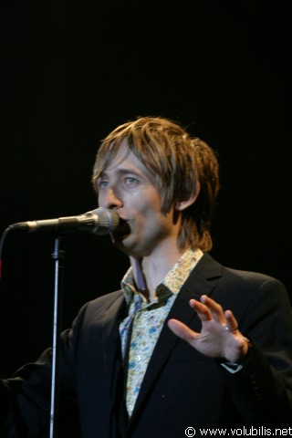 The Divine Comedy - Festival Les Vieilles Charrues 2004