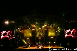 The Divine Comedy - Festival Les Vieilles Charrues 2004