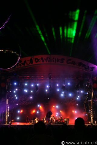 Ambiance - Festival Les Vieilles Charrues 2005