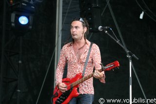 Michel Delpech - Festival Les Vieilles Charrues 2005