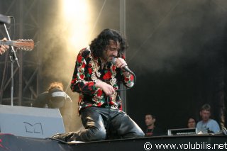 Rachid Taha - Festival Les Vieilles Charrues 2005