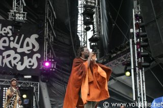 Tiken Jah Fakoly - Festival Les Vieilles Charrues 2005