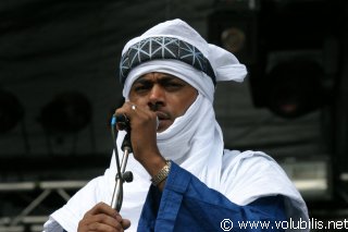 Tinariwen - Festival Les Vieilles Charrues 2005