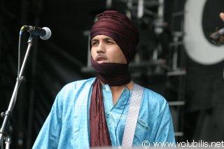 Tinariwen - Festival Les Vieilles Charrues 2005