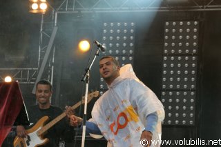 Ridan - Festival Les Vieilles Charrues 2005