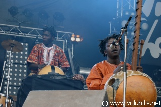 Ba Cissoko - Festival Les Vieilles Charrues 2005