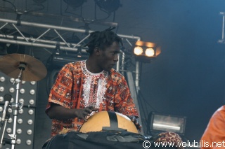Ba Cissoko - Festival Les Vieilles Charrues 2005