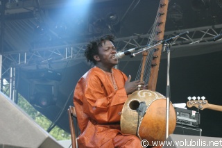 Ba Cissoko - Festival Les Vieilles Charrues 2005