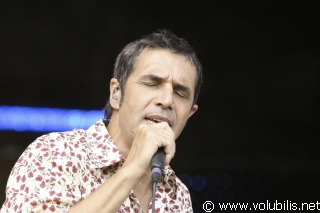 Julien Clerc - Festival Les Vieilles Charrues 2006
