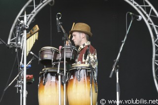 FDB - Festival Les Vieilles Charrues 2006