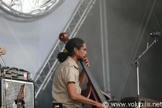 Raul Paz - Festival Les Vieilles Charrues 2007