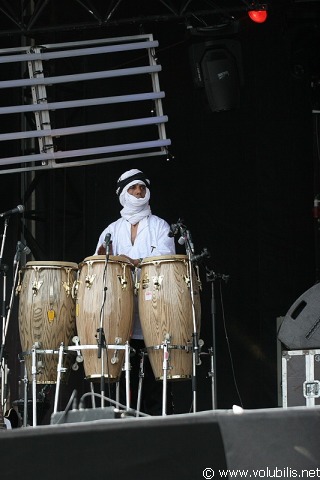 Toumast - Festival Les Vieilles Charrues 2007