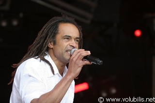 Yannick Noah - Festival Les Vieilles Charrues 2007