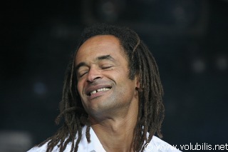 Yannick Noah - Festival Les Vieilles Charrues 2007