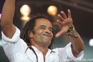 Yannick Noah - Festival Les Vieilles Charrues 2007