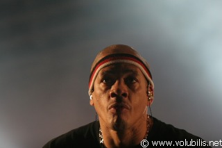 Joey Starr - Festival Les Vieilles Charrues 2007