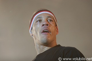 Joey Starr - Festival Les Vieilles Charrues 2007