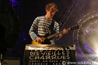 Clap Your Hands Say Yeah - Festival Les Vieilles Charrues 2007