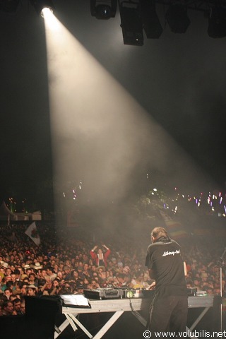 DJ Zebra - Festival Les Vieilles Charrues 2007