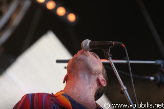 Thomas Dutronc - Festival Les Vieilles Charrues 2008