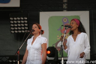 Camille - Festival Les Vieilles Charrues 2008