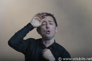 Gad Elmaleh - Festival Les Vieilles Charrues 2008