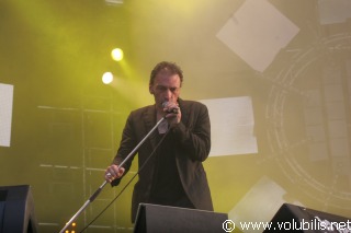 Daniel Darc - Festival Les Vieilles Charrues 2008