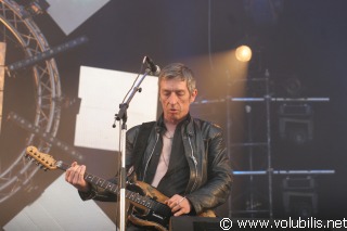 Daniel Darc - Festival Les Vieilles Charrues 2008