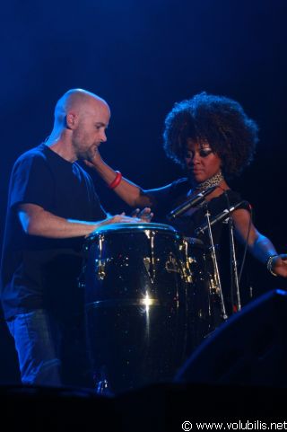 Moby - Festival Les Vieilles Charrues 2009