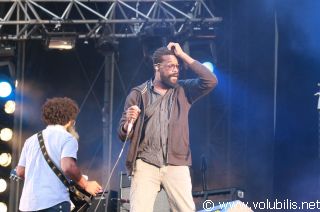 TV On The Radio - Festival Les Vieilles Charrues 2009