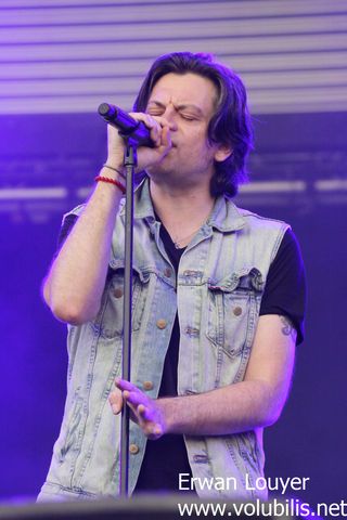 Benjamin Biolay - Festival Les Vieilles Charrues 2013