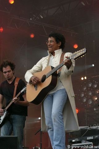 Laurent Voulzy - Festival Les Vieilles Charrues 2003