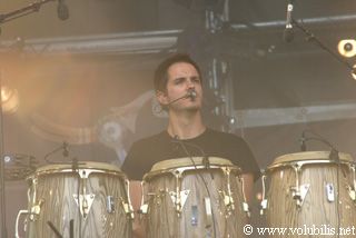 Laurent Voulzy - Festival Les Vieilles Charrues 2003