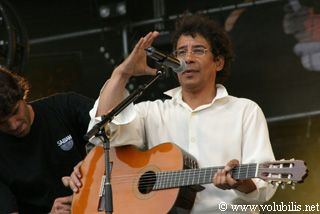 Laurent Voulzy - Festival Les Vieilles Charrues 2003