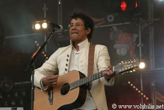 Laurent Voulzy - Festival Les Vieilles Charrues 2003