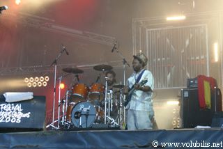 Israel Vibration - Festival Les Vieilles Charrues 2003