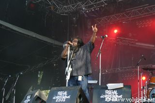 Israel Vibration - Festival Les Vieilles Charrues 2003