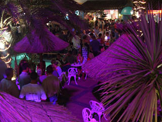 Palmiers Violets - Bora - Le Cap d' Agde - Night Club - Discotheque
